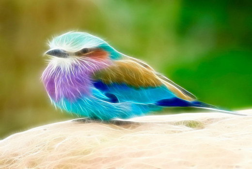 597471 (a): :1640x1100